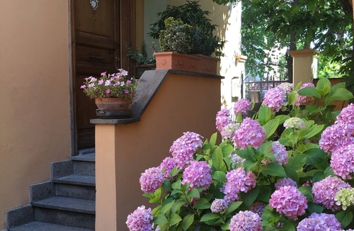 Gianicolense Apartment | ROME: GIANICOLO GARDEN romantic near Trastevere, St. Peter's, historic center