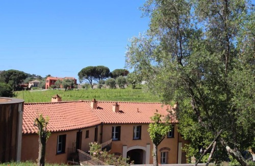 Santo Stefano del Ponte Apartment | Rosetta by Interhome
