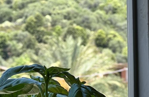 Triei Apartment | Sa Domu de Funtanedda - Affitti Brevi Italia
