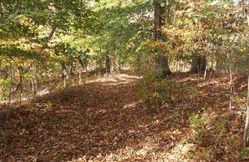 Gainesboro RV Rental | Shaggy Bark Camping9. A more private camping experience. The 75 acre Walker Farm