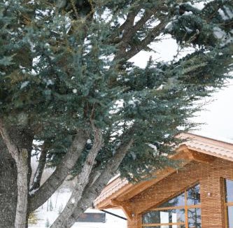 Corbesassi Hotel | Sport Hotel Prodongo