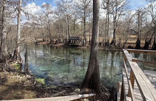 Branford House | Springside Manor: Ichetucknee Riverfront 3450sqft-Sleeps 16 with bunkhouse addon