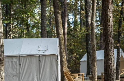 Morton RV Rental | Tentrr State Park Site - Mississippi Roosevelt State Park - Tall Trees B - Sing