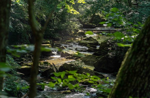 Ansted RV Rental | Tentrr State Park Site - WV Hawk's Nest State Park - Site H - Single Camp