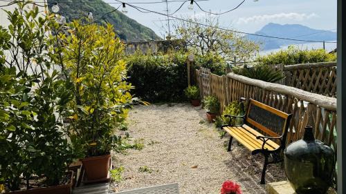 Termini House | The Dream