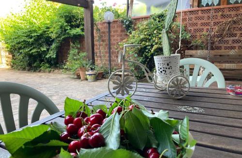 Potenza House | The Flowers' House