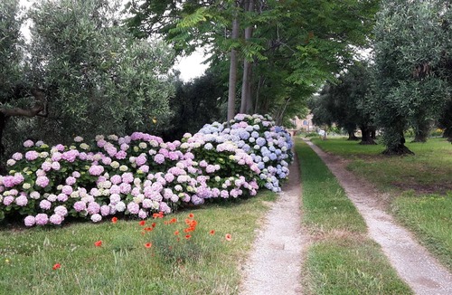 Gizzeria House | The house of Gilda b & b