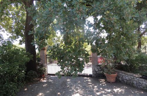 Spigno Saturnia Bed & Breakfast | The Oaks