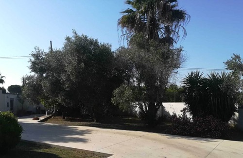 Galatina Villa | The Olive Garden - La Terrazza