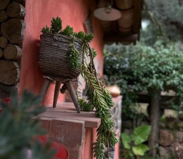 Falerna Bed & Breakfast | The Treehouse - Casa sull'albero al Golden Camp