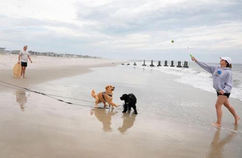 North Cape May House | Three Bedroom House - Cape May short walk to the Bay