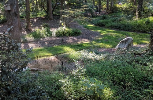 Chapel Hill House | Timber Frame Medicine House on 5 acres