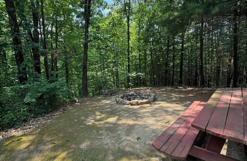 Old Washington Cottage | Timberline Cabins - Dogwood Cottage - Hot Tub, Pets