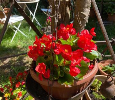 Marta Apartment | Tuscany Location