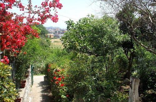 Scauri House | Typical italian setting