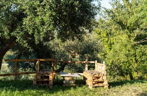 Ogliastro Cilento Apartment | U Saccataro Casa Vacanze
