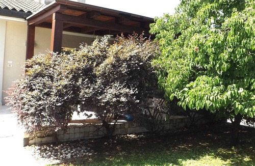 Moriago della Battaglia Apartment | Vacation home in the heart of prosecco DOCG