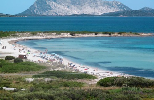 Luddui House | Vacation home Isuledda (TEO460) in San Teodoro - 14 persons, 6 bedrooms