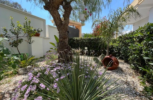 Sava Villa | Villa Alyson