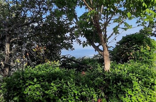 San Venanzo Bed & Breakfast | Villa Anna B&B