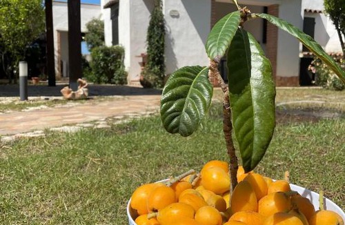 Geremeas Villa | Villa Blanca