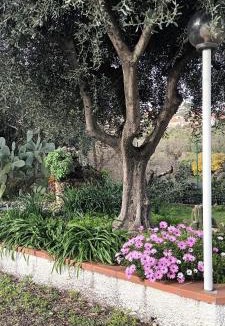Boissano House | Villa Cristina