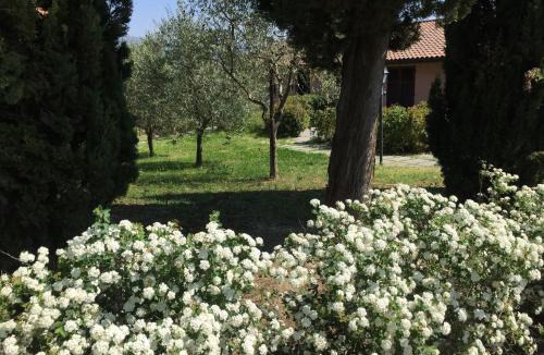 Vinci Villa | Villa Il Principino Country Resort
