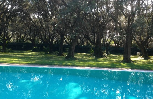 Querceta Apartment | VILLA IN TUSCANY BETWEEN SEA, MOUNTAINS, AND ART