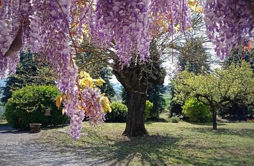 Piozzano Bed & Breakfast | Villa La Palazzina