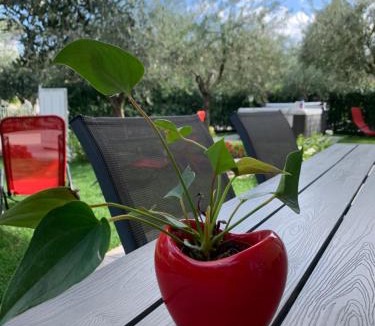 San Benedetto di Lugana Apartment | Villa Lori Apartments Garden and Beach