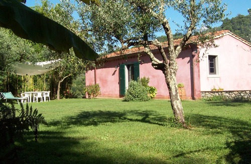 Nocchi Villa | VILLA OLIVI.