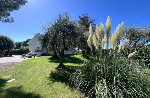 Santarcangelo di Romagna Villa | Villa Pronti Santarcangelo - Rimini