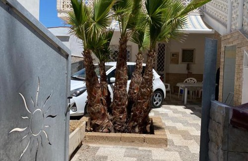 Primitivo di Manduria Wine Area Apartment | Villa Rosy direttamente sul mare