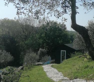 Mazzano Romano Bed & Breakfast | Villa & Spasuitebo Roma