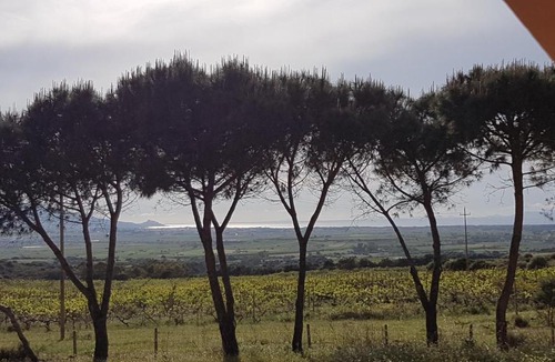 Viddalba House | Villetta Ruja