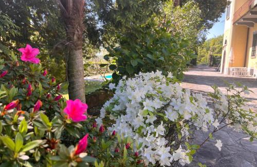 Lesa Apartment | VSC Apartment - Appartamento in villa storica vista lago e piscina