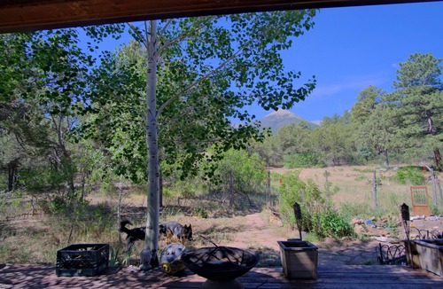 Howard Cabin | Whispering Pines retreat property near Salida!