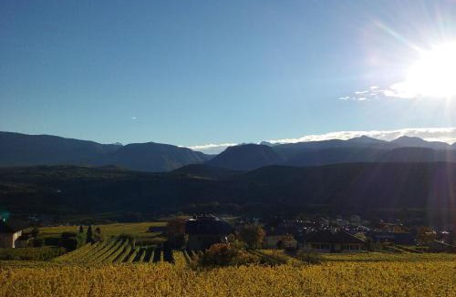 Caldaro Sulla Strada del Vino Apartment | Wiesmüllerhof