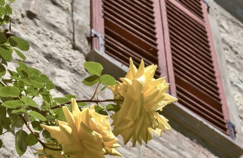 Vignale Monferrato House | Winery Cascina Intersenga - Casa delle Vigne