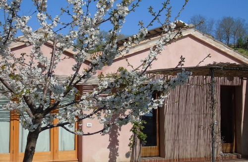 Barchi Apartment | Wonderful flat in the garden - ecologically between vineyard and olive grove
