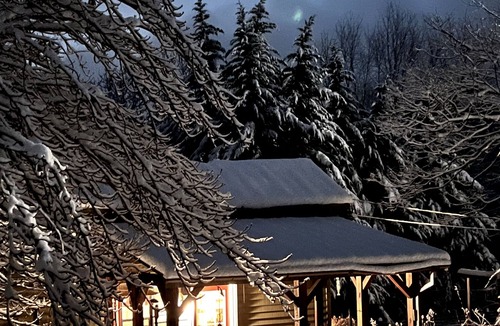 Tiger Cottage | Zen Mountain Cabin: Forest-Bathing & Private Waterfall in Wine Country