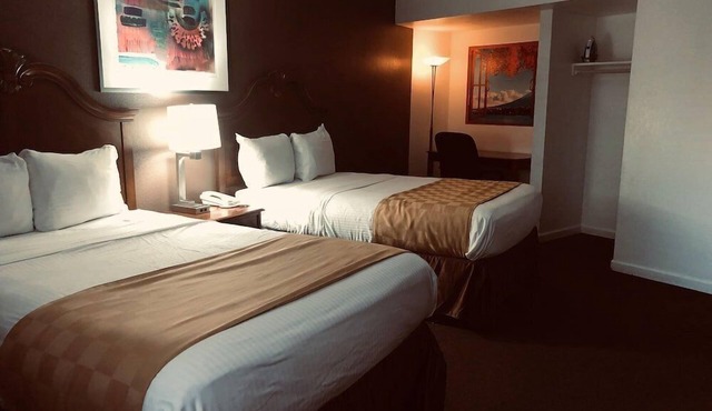 3 Comfortable Room for Families or Groups: Experience LA's Best Sights & Sounds