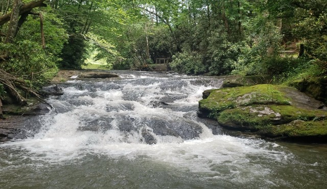 Bear Gone Fishing- Cool Down in the Creek! Mins to Highlands