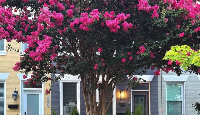 Capitol Hill B&B-Steps to Metro, Dining, & Museums