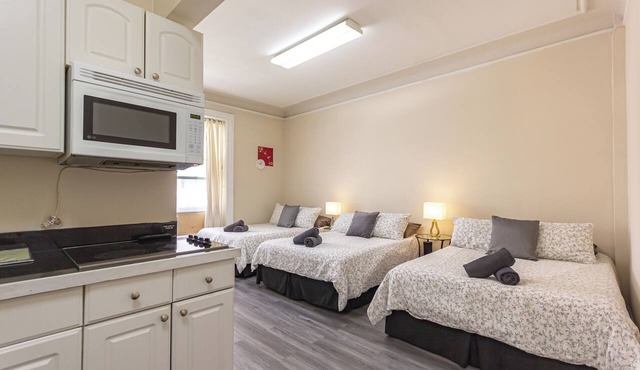 Cozy STUDIO 3 Full beds in Midtown