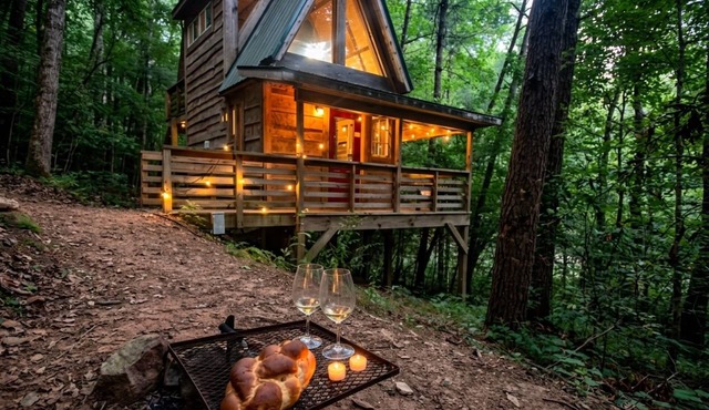 Firefly Bend Treehouse - View of the National Forest from Your Bed