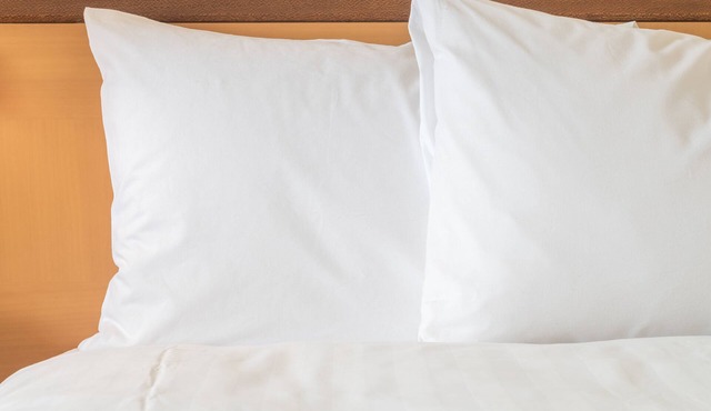Holiday Inn Express Spring Hill by IHG