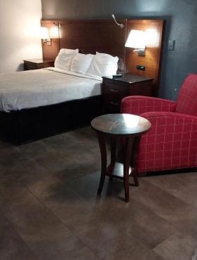 King Bed Hotel Room 210