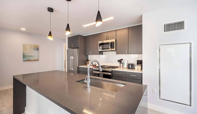 Luxury 2 BR Apt with Gym and Pool