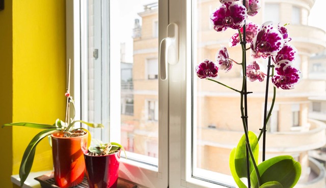 Milano City - Studio / Studio - Fiera area